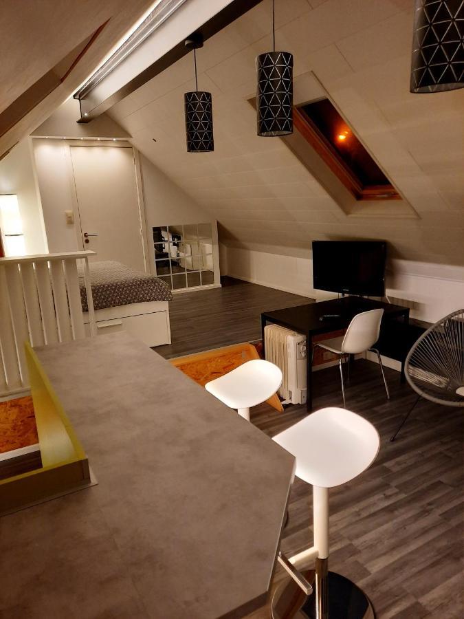 Studio Neuf Cote Campagne Agreable A Vivre. Braine-le-Comte المظهر الخارجي الصورة